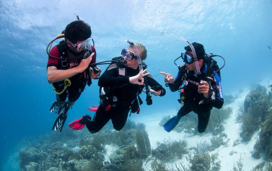 PADI Open Water eLearning course Practical Section