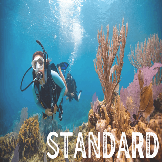PADI Open Water Course - Standard