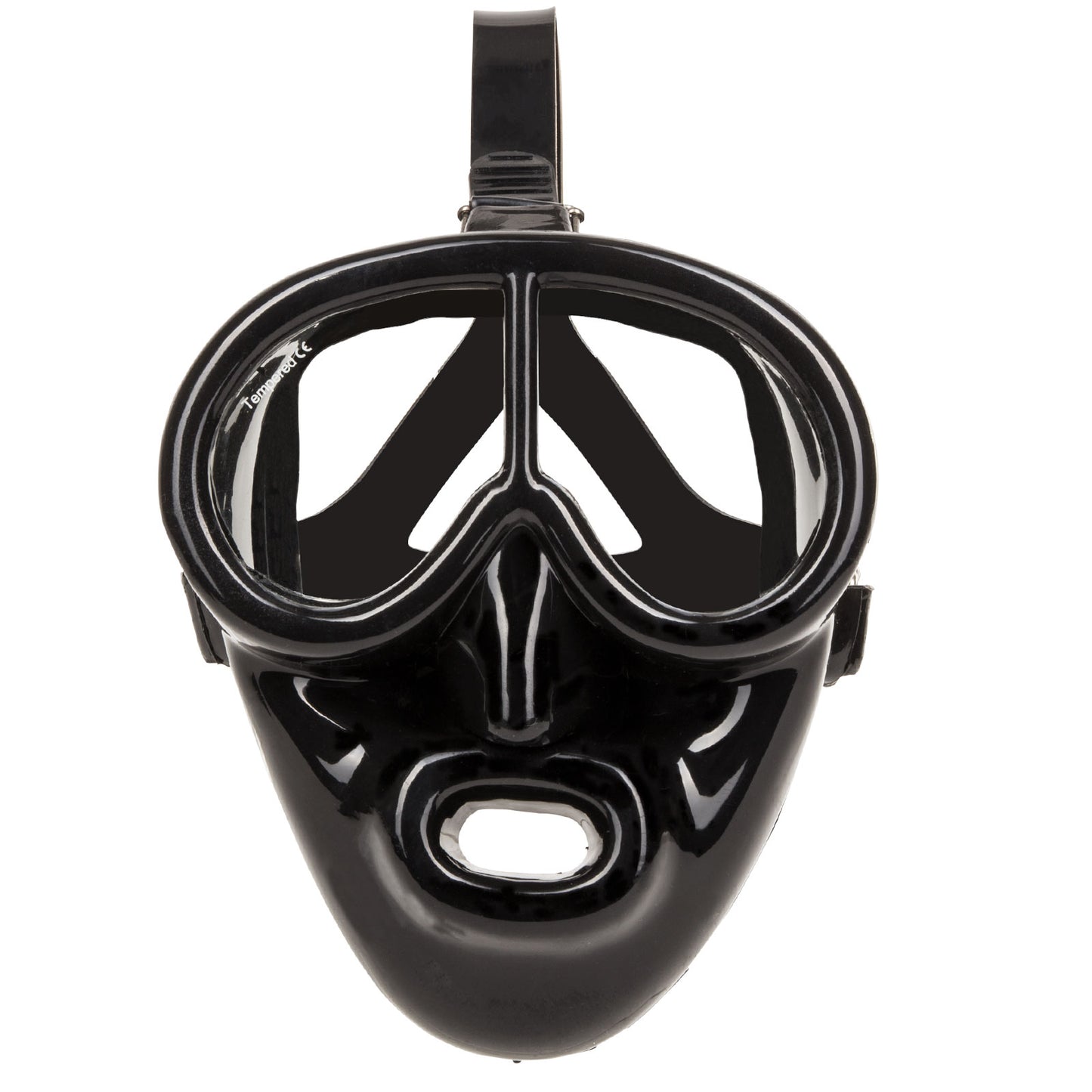 IST Pegasus Full Face Dive Mask