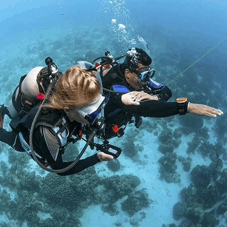 PADI Navigator Diver Course