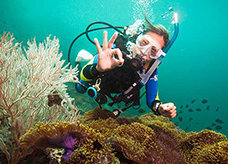PADI Discover Scuba Diving