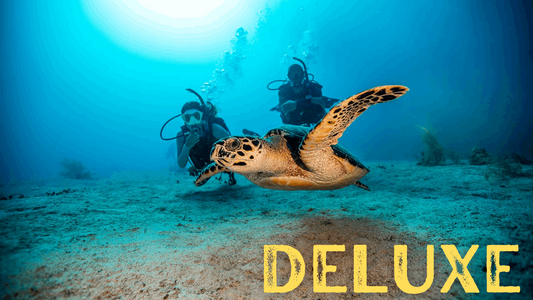 PADI Open Water Course - Deluxe