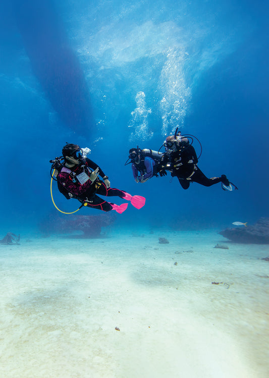 PADI  OWSI & IDC